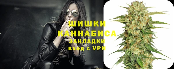 сатива Весьегонск