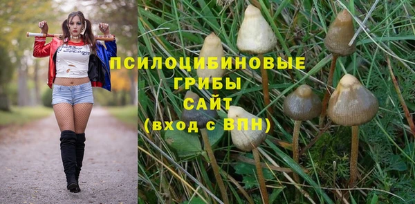 экстази Осинники