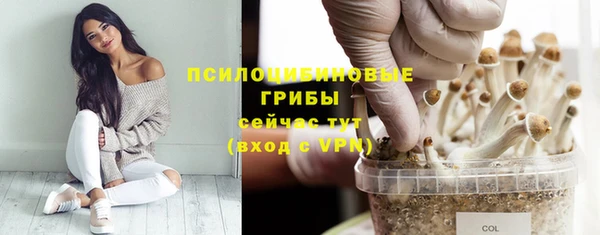 ALPHA-PVP Нягань