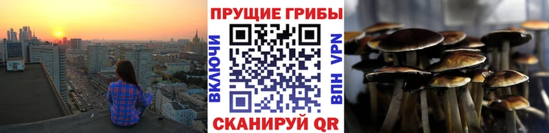 где продают наркотики Пушкино Галлюциногенные грибы GOLDEN TEACHER