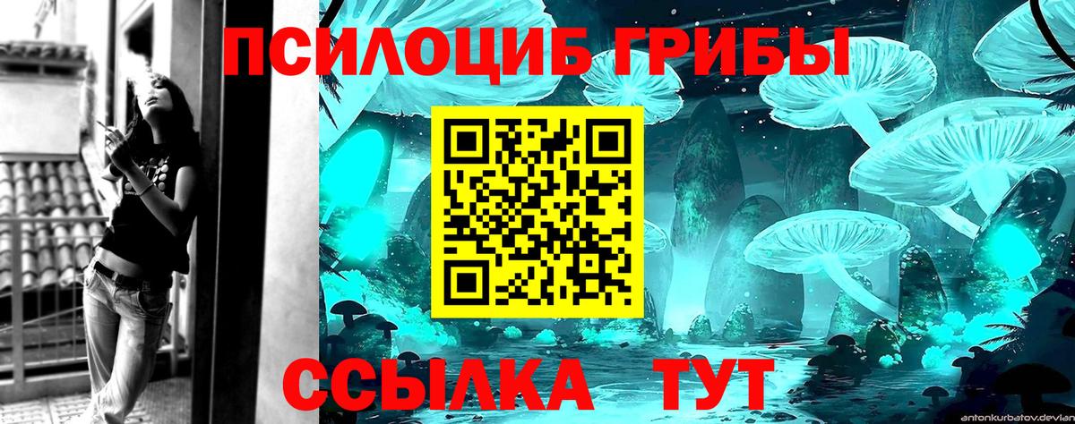 где купить наркоту  Галлюциногенные грибы Magic Shrooms  Вход с VPN  Галлюциногенные грибы Magic Shrooms  Пушкино 