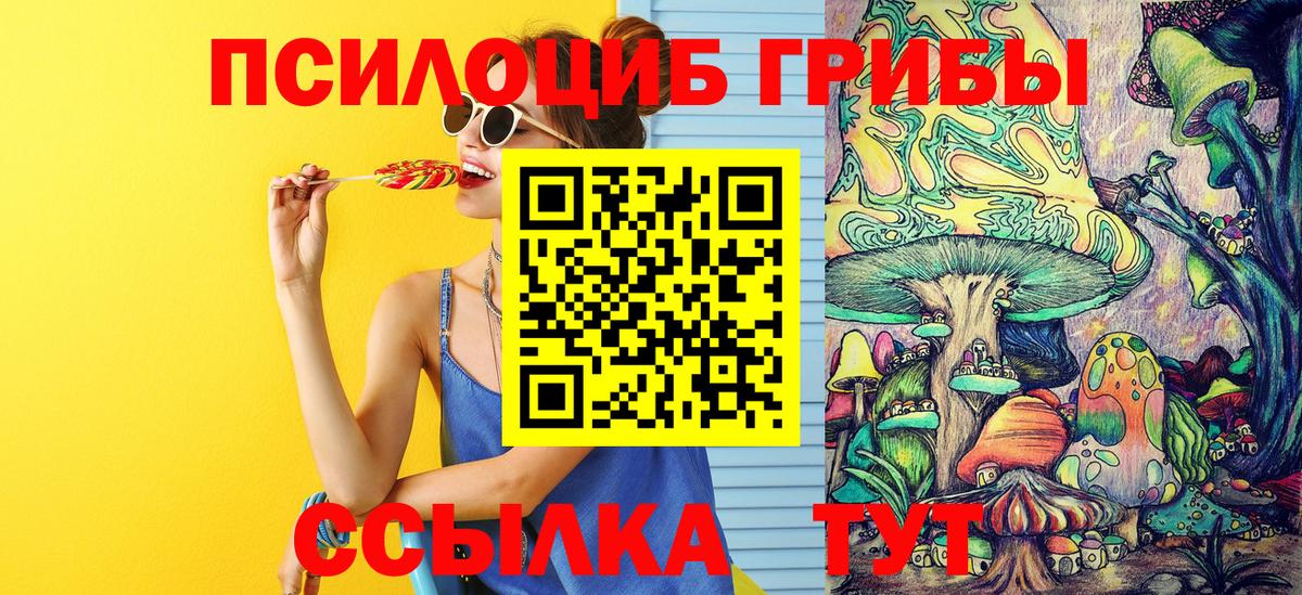 Галлюциногенные грибы GOLDEN TEACHER Пушкино